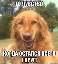 то чувство когда остался всего 1 круг!