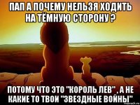 пап а почему нельзя ходить на тёмную сторону ? потому что это "король лев" , а не какие то твои "звездные войны"