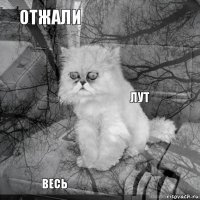 отжали   весь      лут