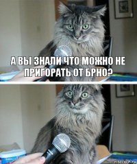 а вы знали что можно не пригорать от Брно? 