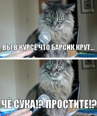 Вы в курсе что Барсик крут... ЧЁ СУКА!? ПРОСТИТЕ!?