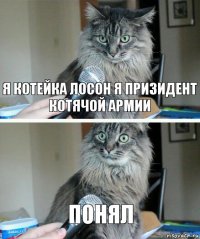 я котейка лосон я призидент котячой армии понял