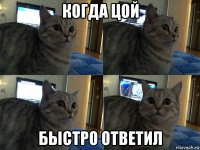 когда цой быстро ответил