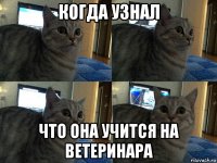 когда узнал что она учится на ветеринара