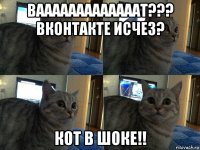 вааааааааааааат??? вконтакте исчез? кот в шоке!!