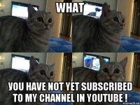 what уou have not yet subscribed to my channel in youtube !