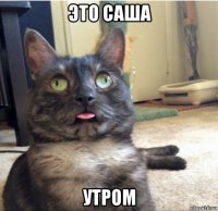 это саша утром