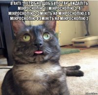 в акті “потрібно,щоб було так” видаліть мікроскопію 1 і мікроскопію 3. а мікроскопію 2 змініть на мікроскопію 1, а мікроскопію 4 змініть на мікроскопію 2 