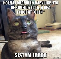 когда говоришь бабушке что не хочешь есть, и она говорит "окей" sistym error