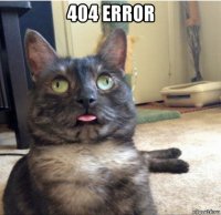 404 error 