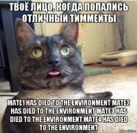 твоё лицо, когда попались отличный тиммейты mate1 has died to the environment mate2 has died to the environment mate3 has died to the environment mate4 has died to the environment