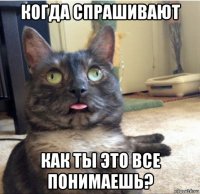 когда спрашивают как ты это все понимаешь?