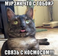 мурзик,что с тобой? связь с космосом!!!