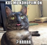 kus mu kohupiim on ? rrrrr