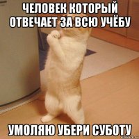 человек который отвечает за всю учёбу умоляю убери суботу