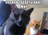 котики захватывают мир 