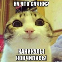 ну что сучки? каникулы кончились!