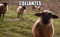 collantes 