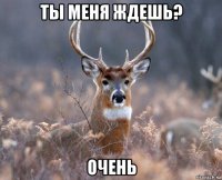 ты меня ждешь? очень