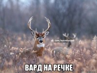  вард на речке