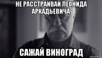 не расстраивай леонида аркадьевича сажай виноград