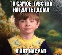 то самое чувство когда ты дома а кот насрал