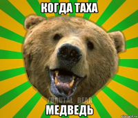 когда таха медведь