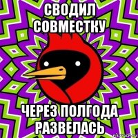 сводил совместку через полгода развелась