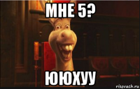 мне 5? ююхуу