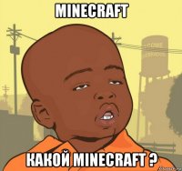 minecraft какой minecraft ?