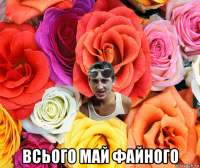  всього май файного