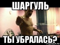 шаргуль ты убралась?