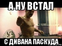 а ну встал с дивана паскуда