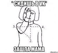 * сидишь в vk* зашла мама