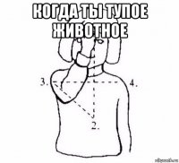 когда ты тупое животное 