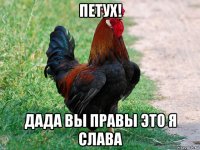 петух! дада вы правы это я слава