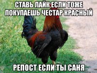 ставь лайк если тоже покупаешь честар красный репост если ты саня