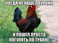 когда не нашел турник и пошел просто погулять по травке