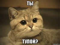 ты тупой?