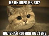 не вышел из вк? получай котика на стену