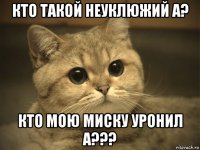 кто такой неуклюжий а? кто мою миску уронил а???