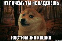 ну почему ты не наденешь костюмчик кошки