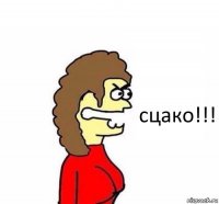 сцако!!!