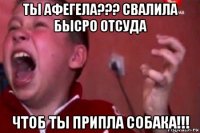 ты афегела??? свалила бысро отсуда чтоб ты припла собака!!!