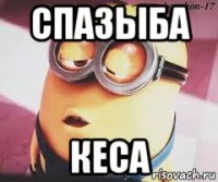 спазыба кеса