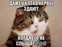 даже у котов нервы здают когда его не слышат@@@