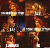 schneider electric ABB EKF schneider electric legrand IEK