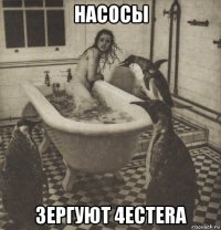 насосы зергуют 4ecterа