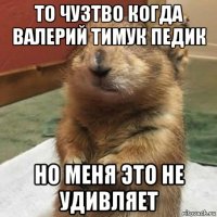 то чузтво когда валерий тимук педик но меня это не удивляет