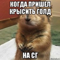 когда пришел крысить голд на сг